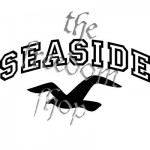 saside-bird-allstar