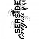 seaside-oregon-splat-birds-